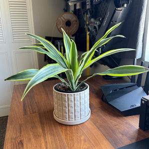 Mid Century Modern plantenpot met schotel