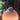 Philips Hue Go ophangbeugel (2 stuks)