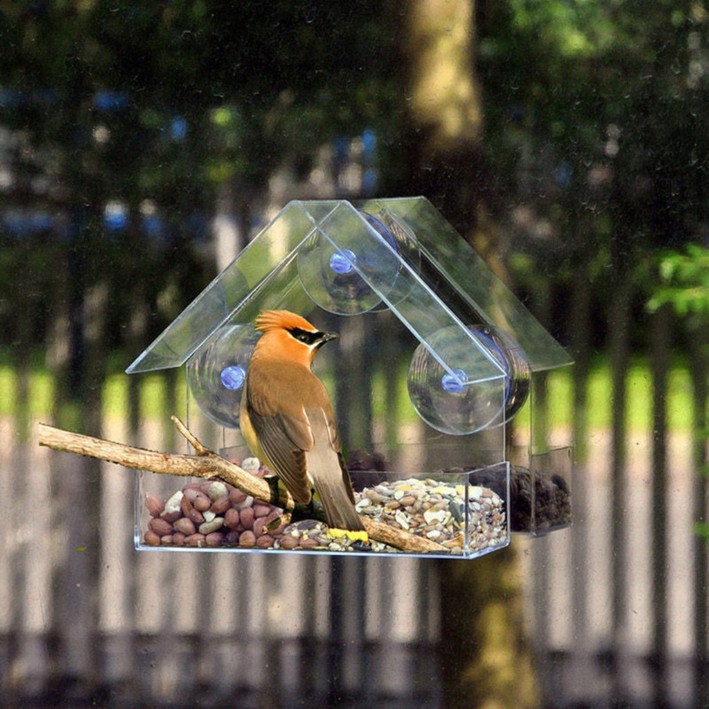 Acryl Vogelvoederhuis Baars met Zuignappen