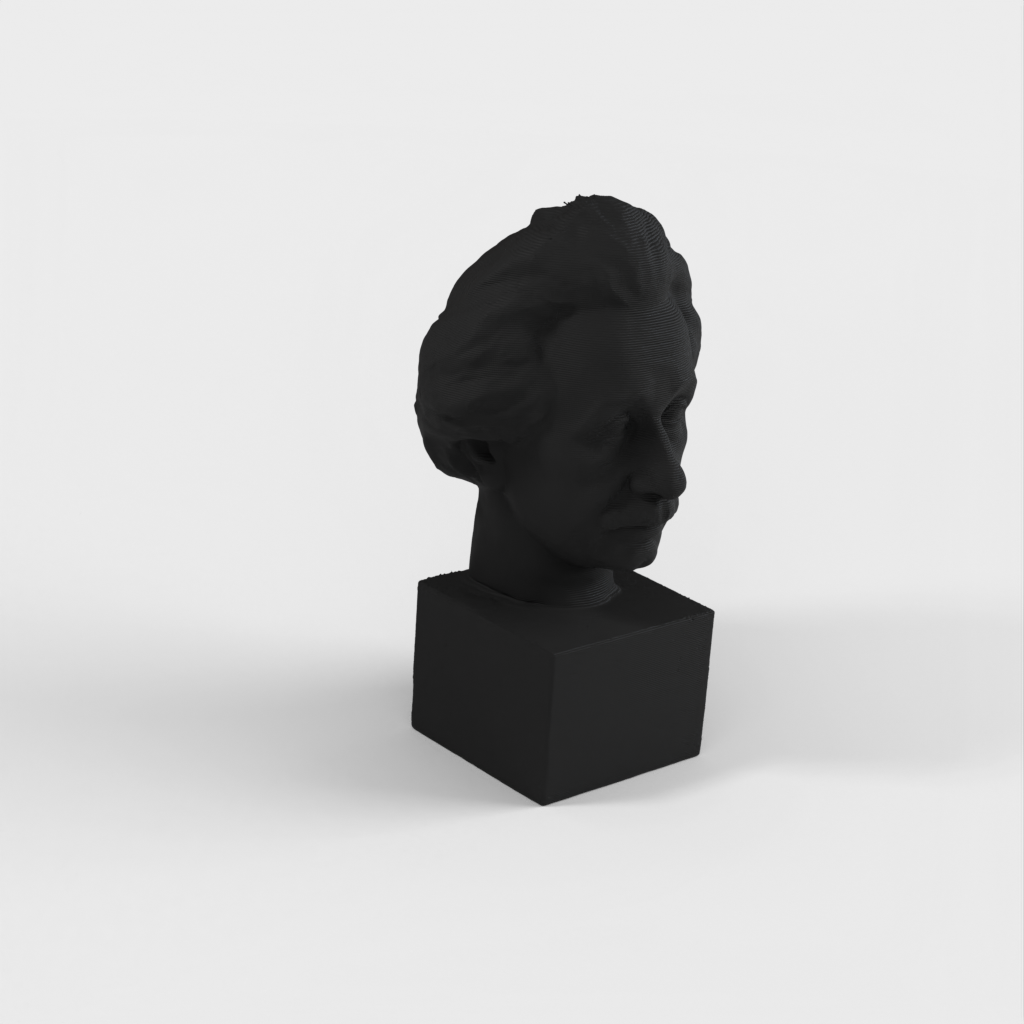 Albert Einstein Bust 3D Scan - Bronzen beeld om af te drukken