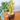Bamboo Bits: Elegante gereedschapsopslag voor op het bureau