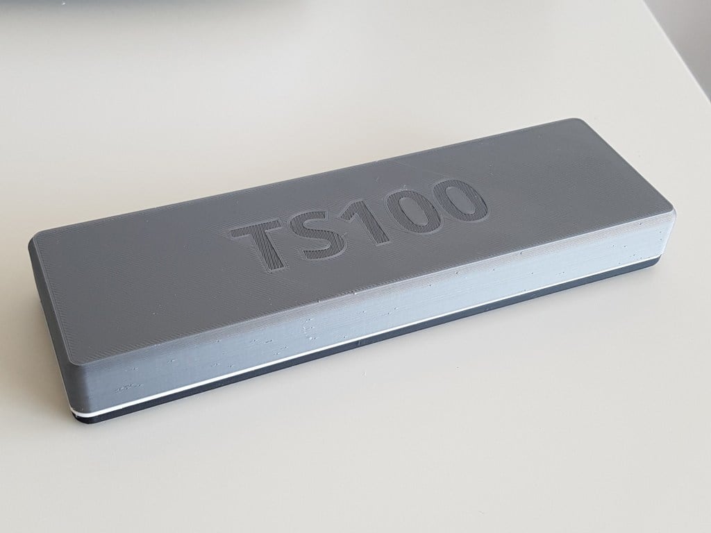 TS100 Tas