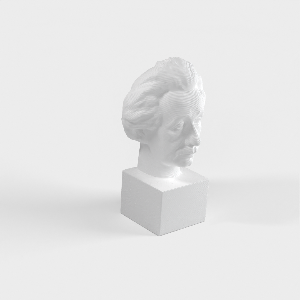 Albert Einstein Bust 3D Scan - Bronzen beeld om af te drukken