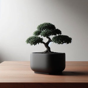 Moderne vierkante vaas voor bonsai en decoratie