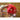 Fidget Three roterende gyroscoop fidget speelgoed