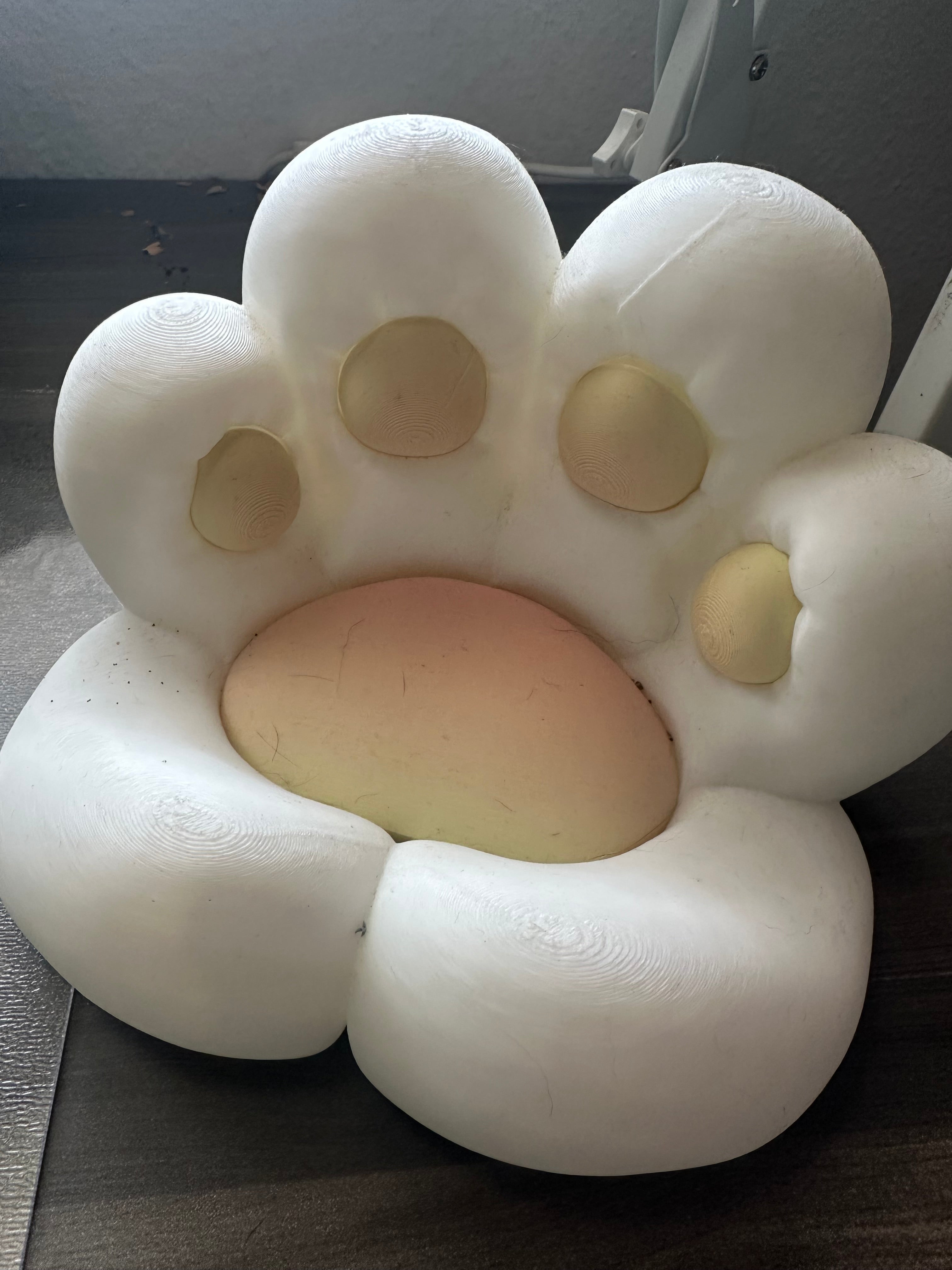 Leuke Kattenpoot Schaal voor het Bureau