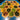 Catan Bouwelementen Set