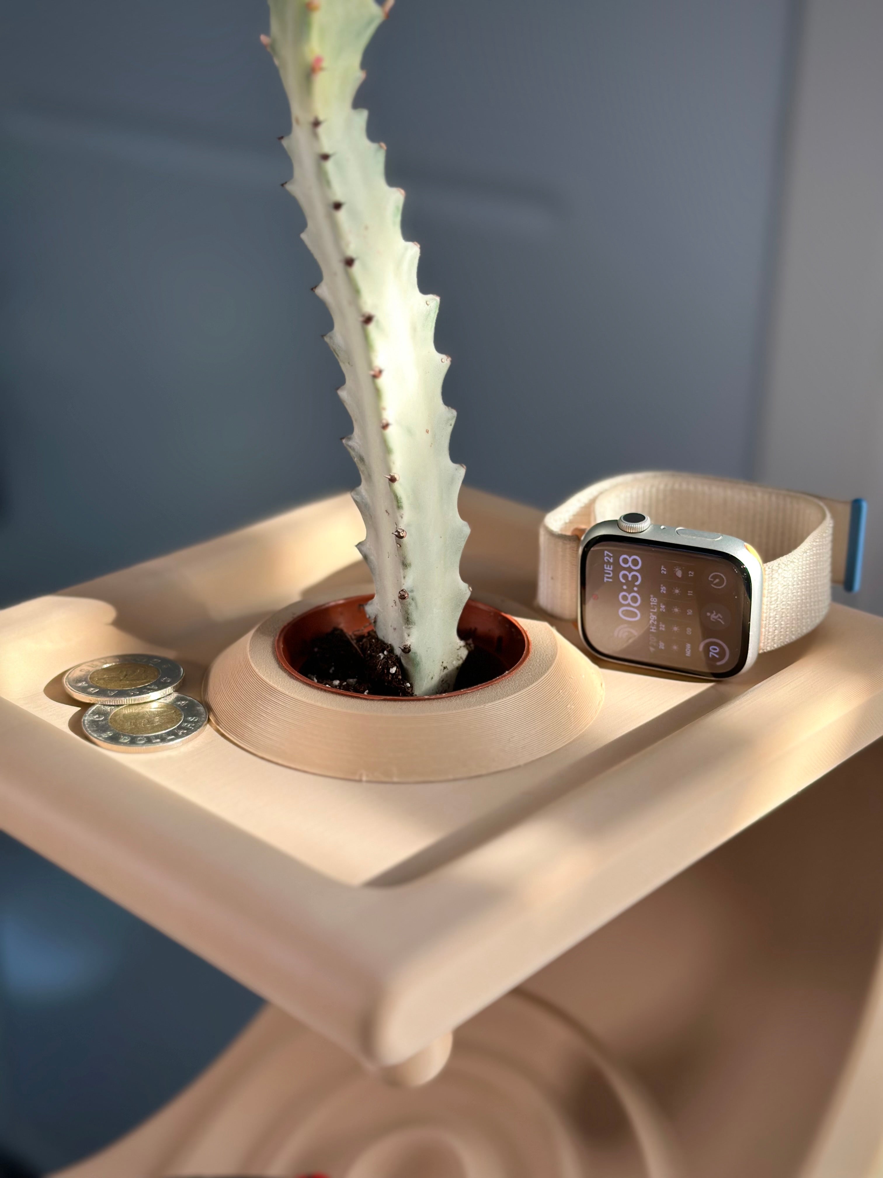 Minimalistische Komma Plank voor Kleine Items en Planten