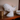 Realistische walvissculptuur op elegant statief