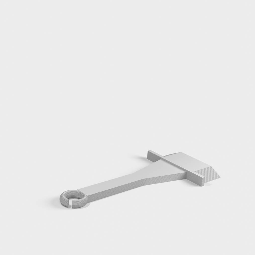 My 3D Model