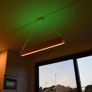 Philips Hue Ensis DIY Plafondlamp