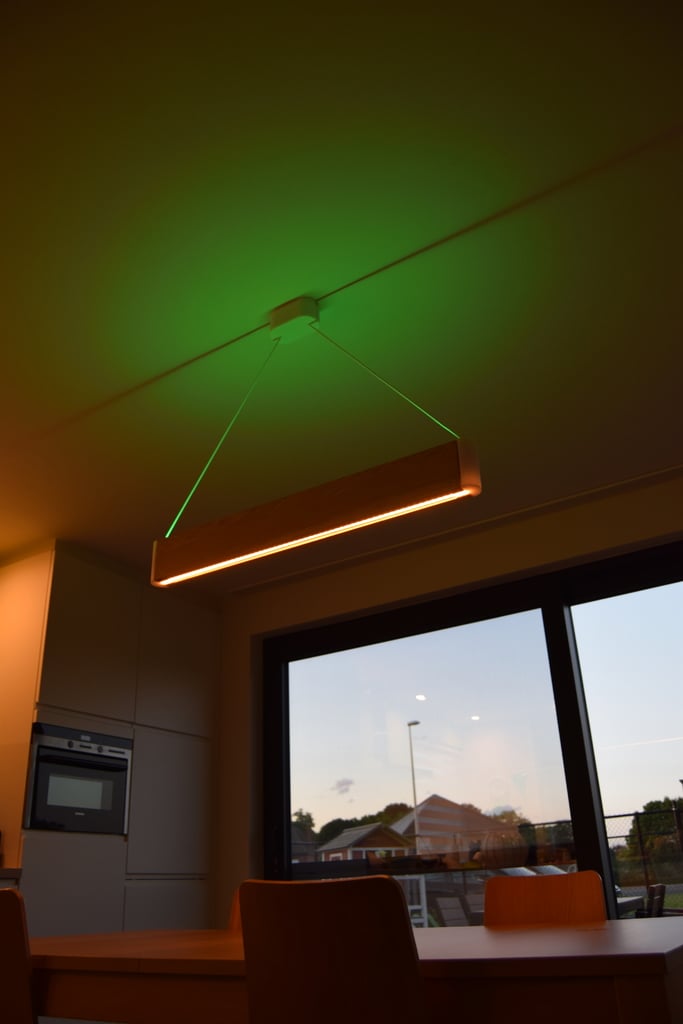 Philips Hue Ensis DIY Plafondlamp