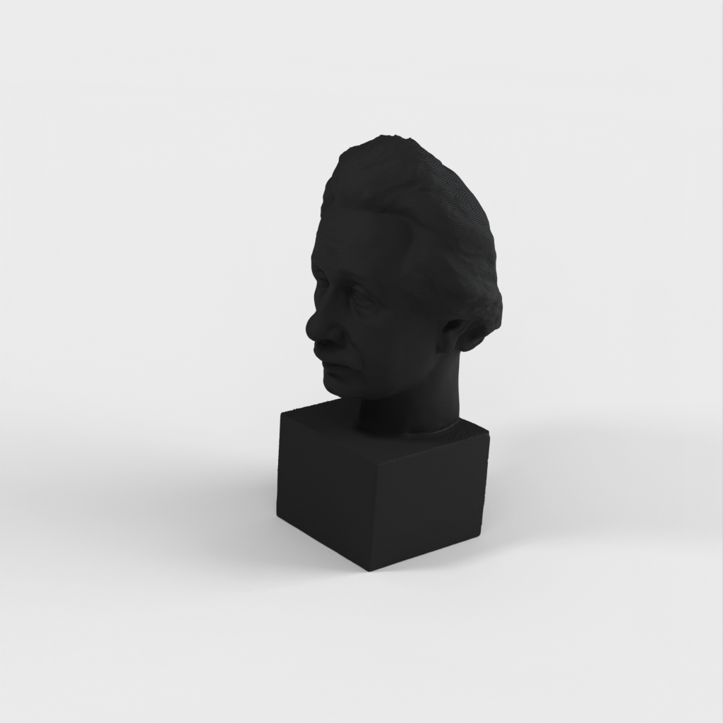 Albert Einstein Bust 3D Scan - Bronzen beeld om af te drukken