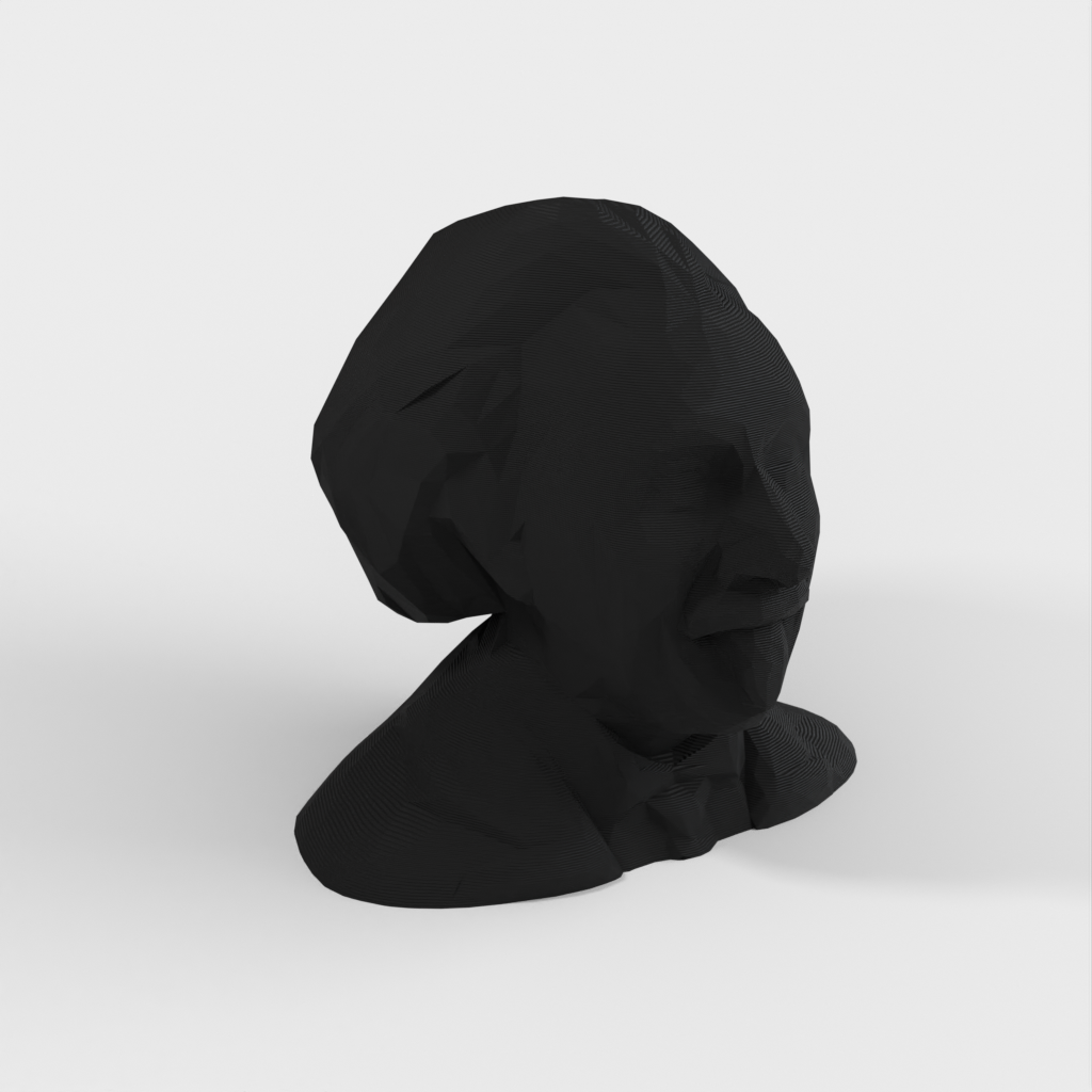 Low Poly Albert Einstein buste/sculptuur