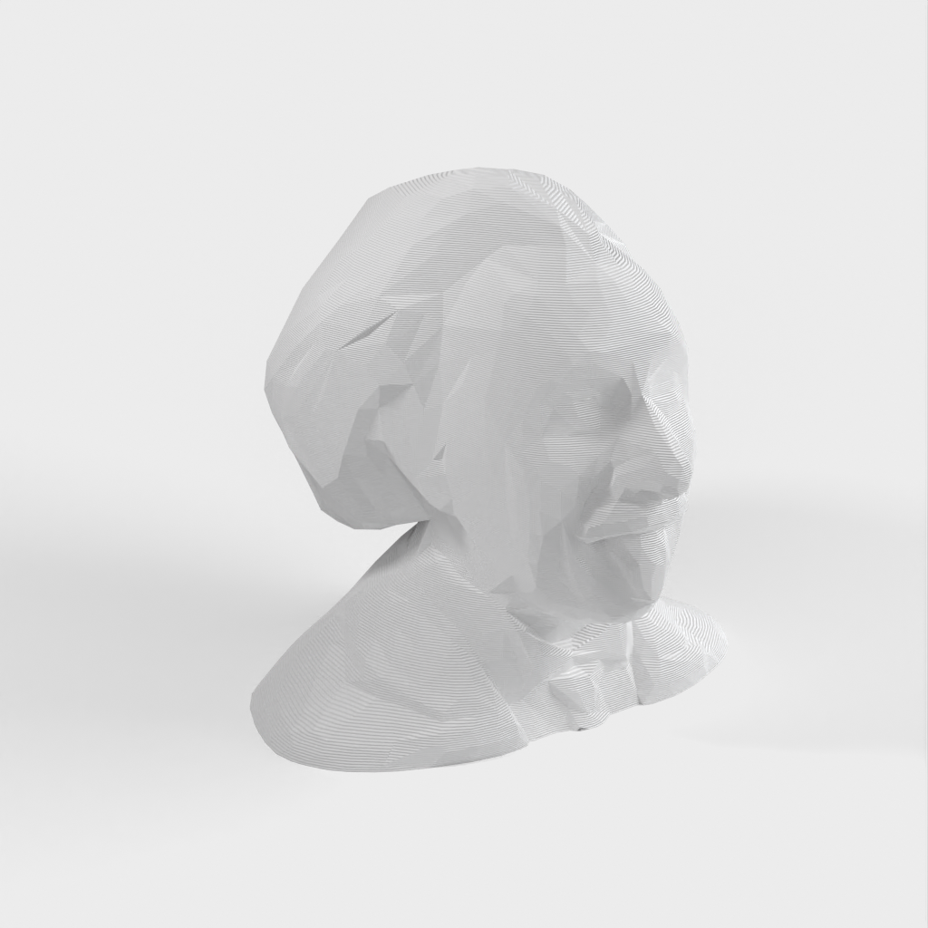 Low Poly Albert Einstein buste/sculptuur