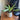 Mid Century Modern plantenpot met schotel