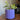 Mid-Century Modern Plantenpot met Onderdel - Lineaire Groeven