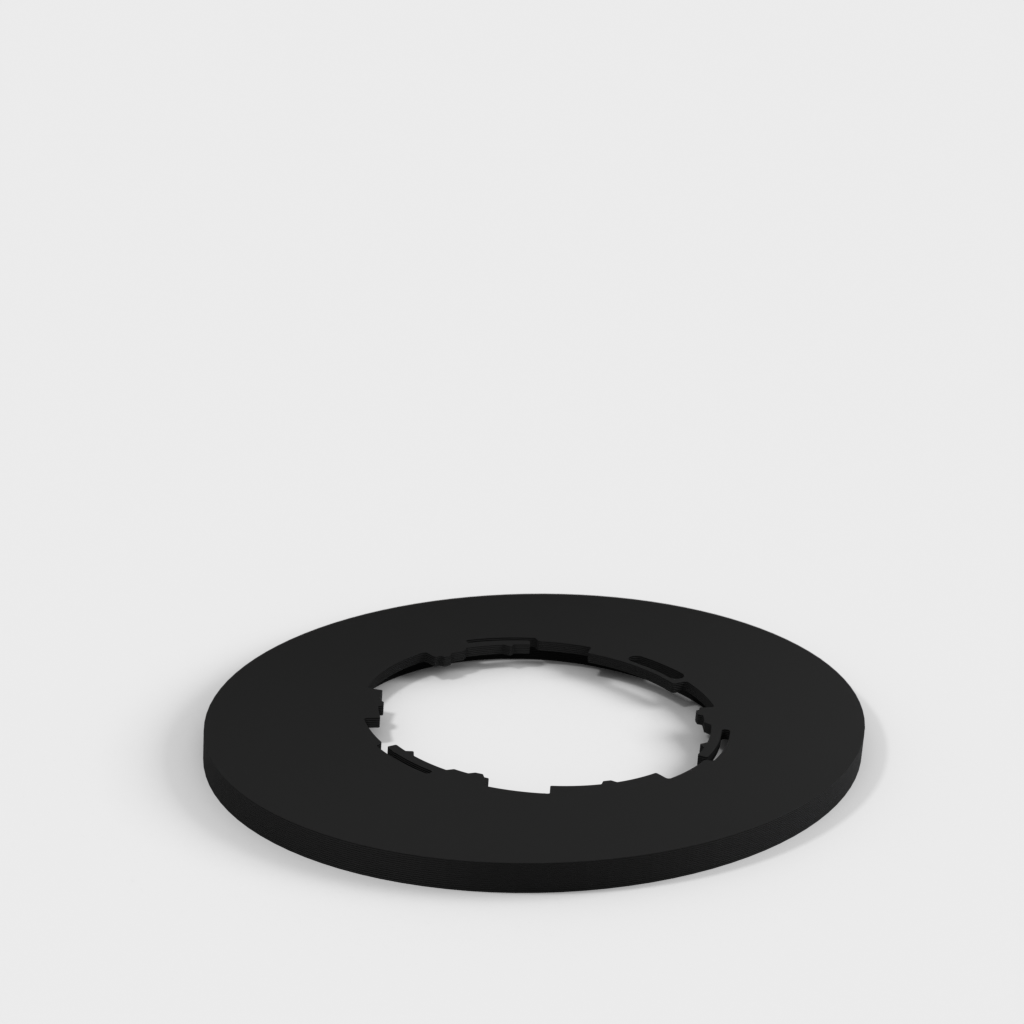My 3D Model
