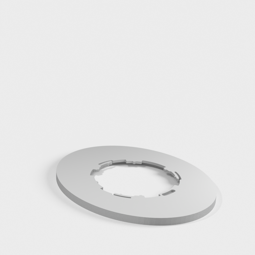 My 3D Model