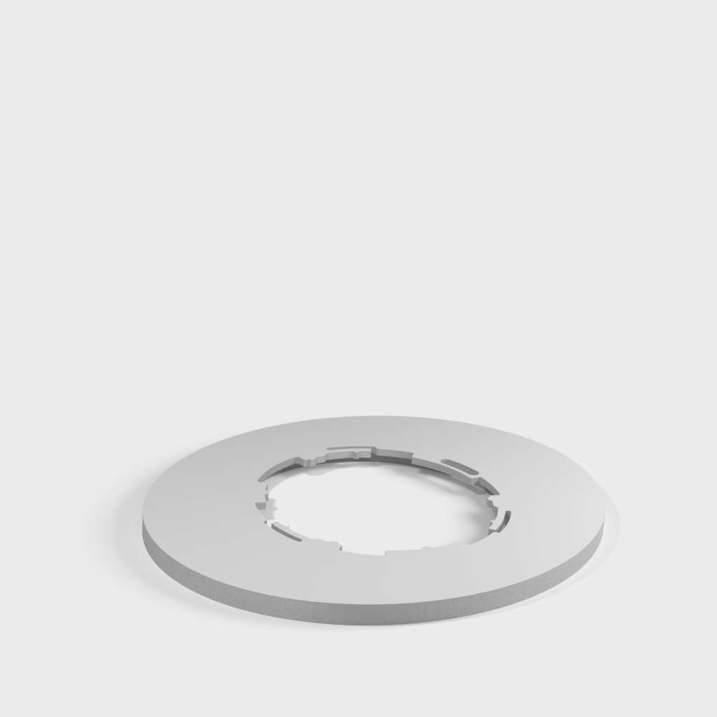My 3D Model