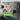Xbox Controller Muurbevestiging