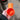 Shop Vac 90 Graden Ruimtebesparende Bocht