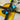 Montage- en Condensatorhouder voor Project 399 Practice Rig 03
