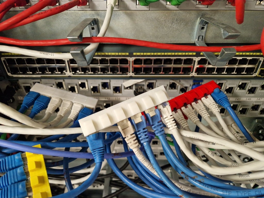 RJ45 Ethernet Kabel Organizer voor Apparatuurvervanging