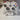 Dubbele Xbox 360 Controller Standaard met Logo