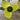 Propellerbescherming voor buitenboordmotor