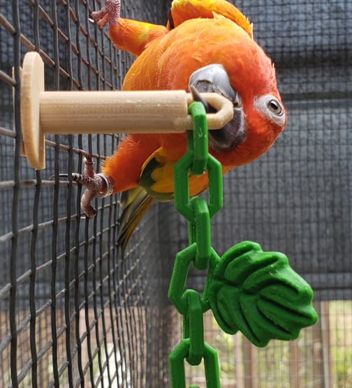 Vogel Speelgoed: Twist-in Ketting met Wijnstokken