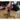 Draagbare pod loader standaard voor paintball