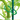 Praktische plantenclips voor klimplanten