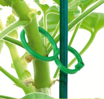 Praktische plantenclips voor klimplanten