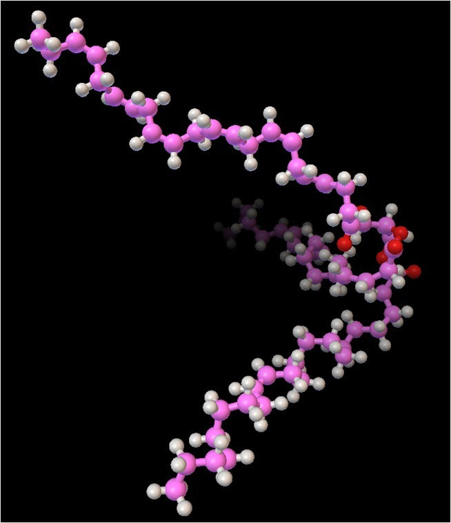 Triacylglycerol Moleculair Model op atomaire schaal