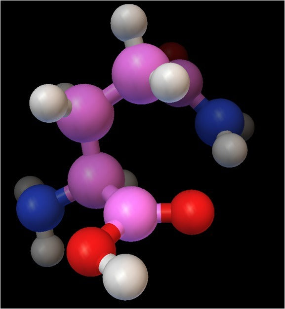 Moleculair Model - Glutamine - Model op atomaire schaal